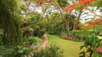Jardín