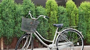 A white bicycle with a basket and a seat, parked on a paved surface. - Bells's Inn Maebashi (Maebashi)