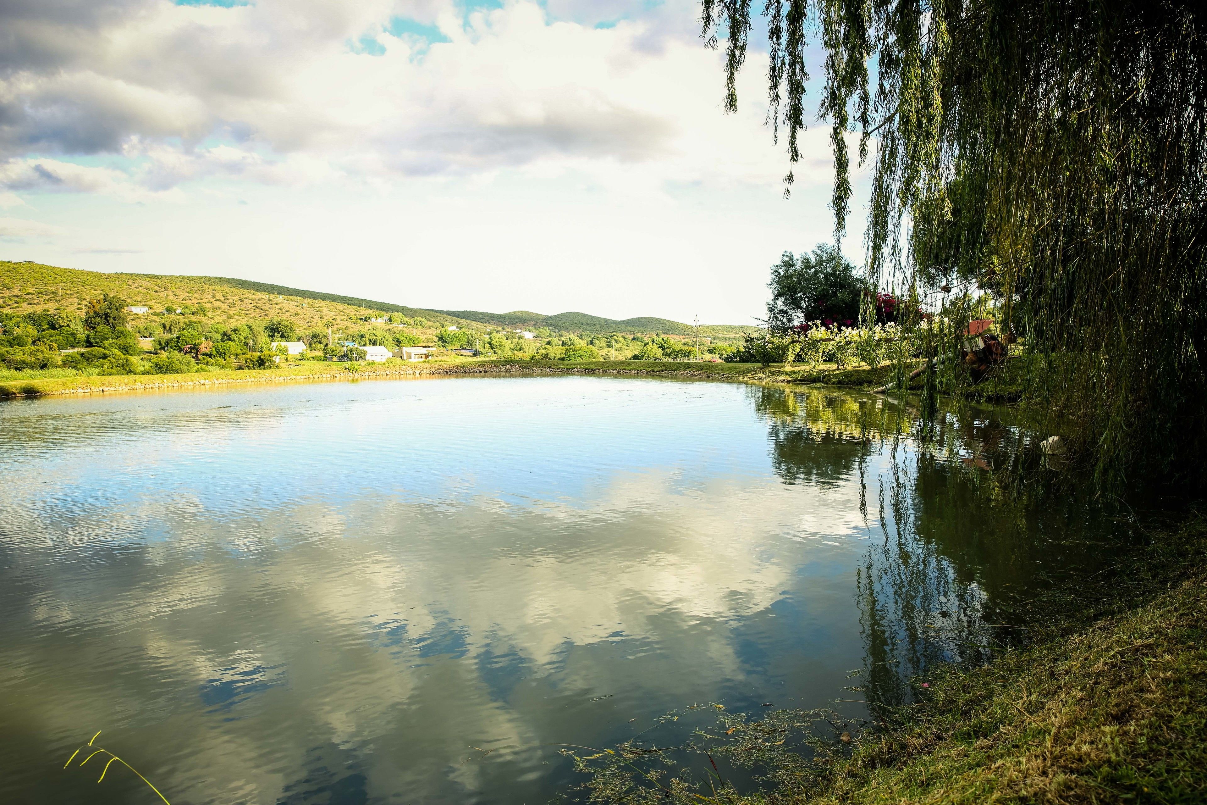 A calm lake with a clear reflection of the sky and surrounding greenery.