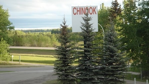 Een bord met de tekst 'CHINGOK' in rode letters, omringd door altijdgroene bomen en een grasveld op de achtergrond.