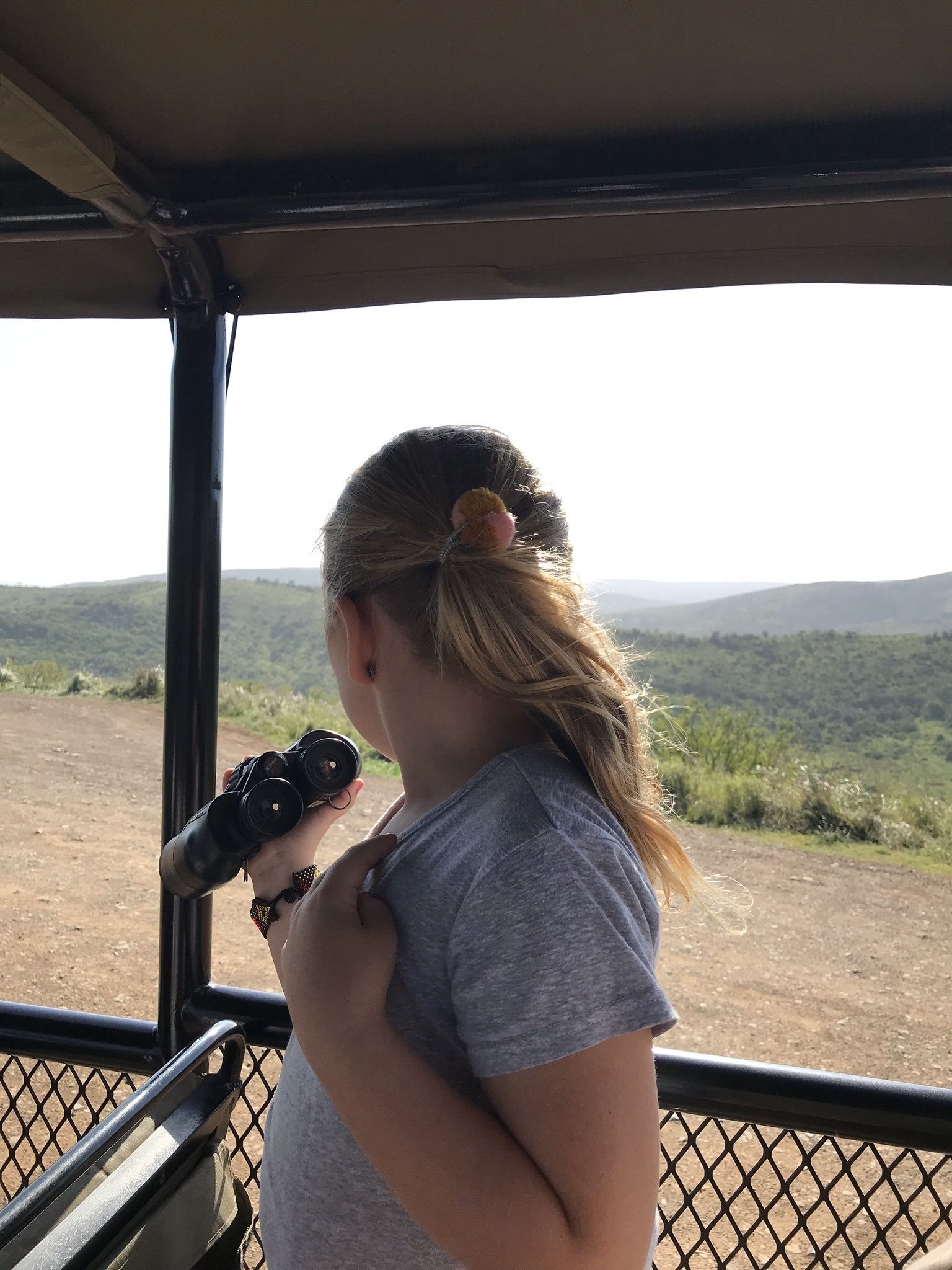 A person holding binoculars, standing at a viewing platform with a natural landscape in the background.
