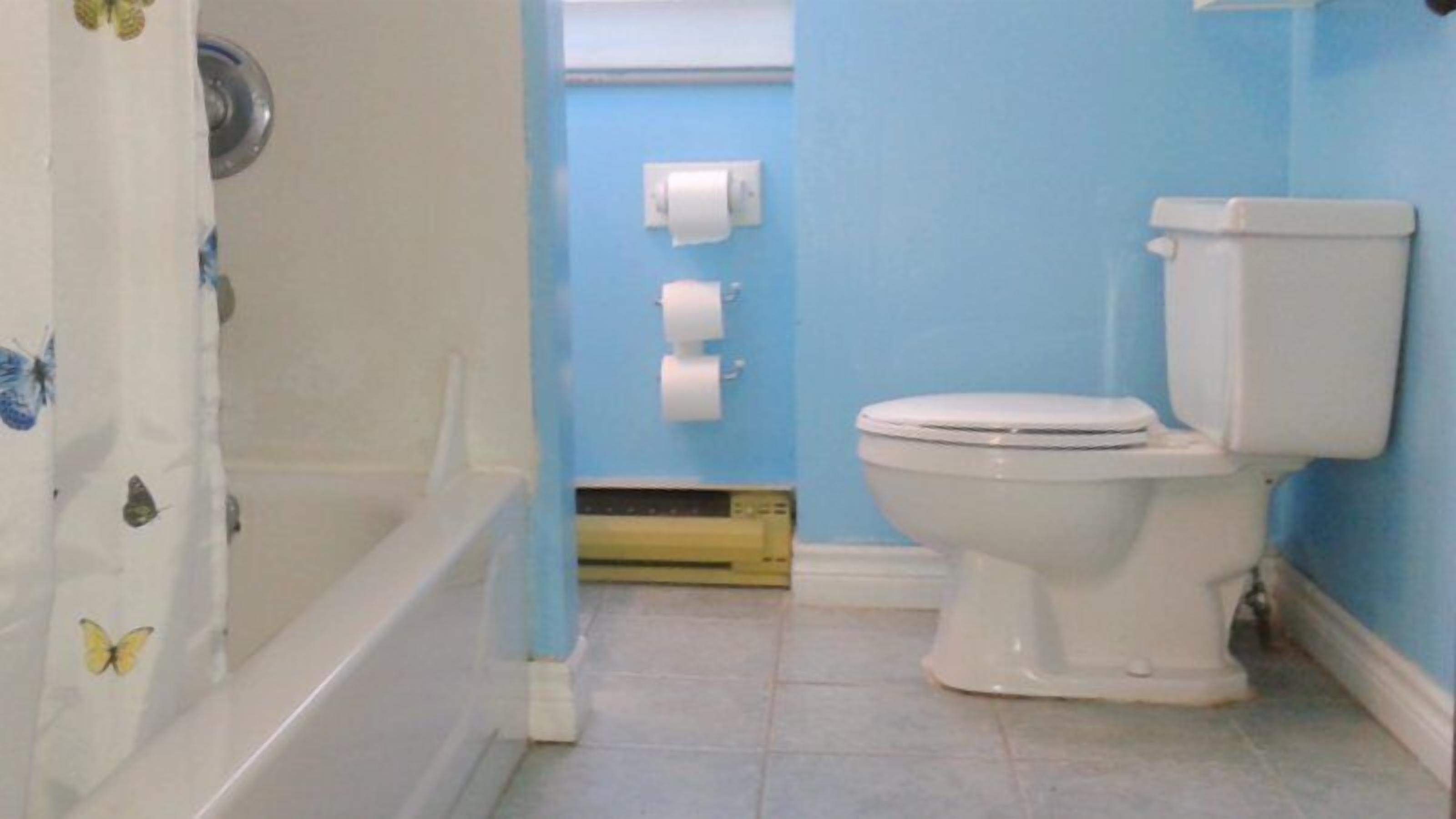Ein Badezimmer mit Toilette, einer Badewanne und einem Duschvorhang mit Schmetterlingsmuster.