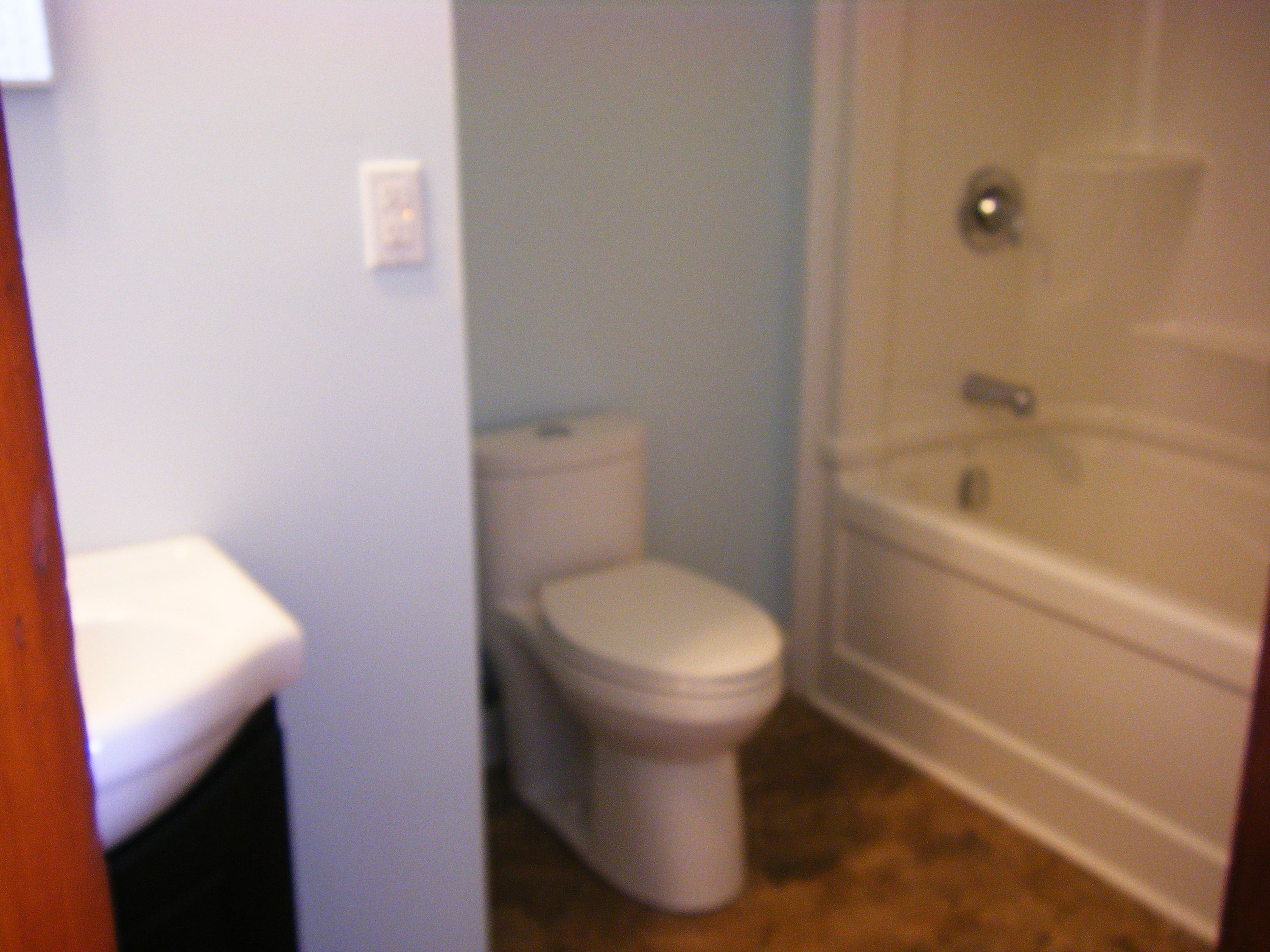 A bathroom with a toilet and a bathtub.