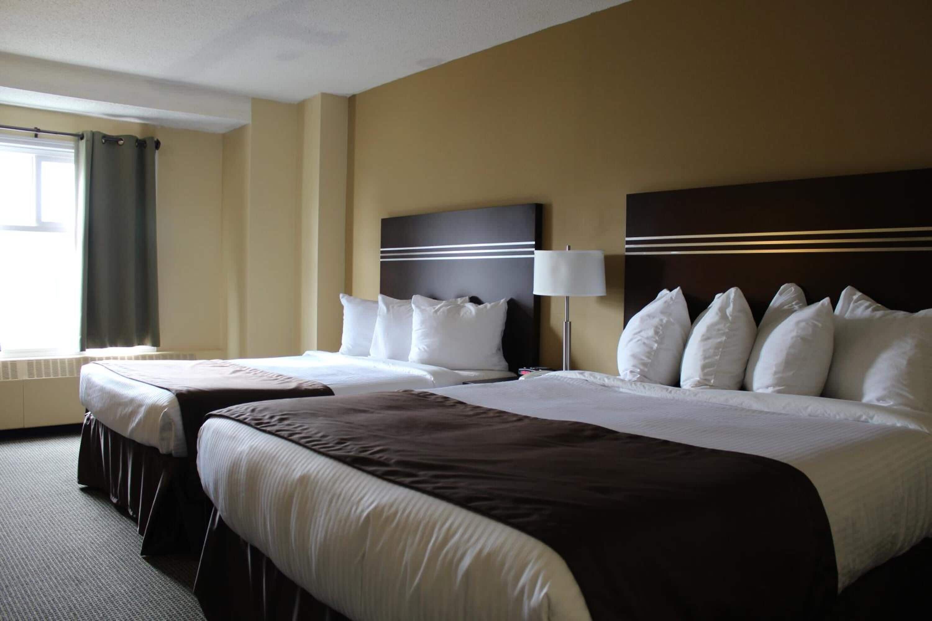 Standard Room, 2 Double Beds | Premium bedding, desk, iron/ironing board, free cribs/infant beds