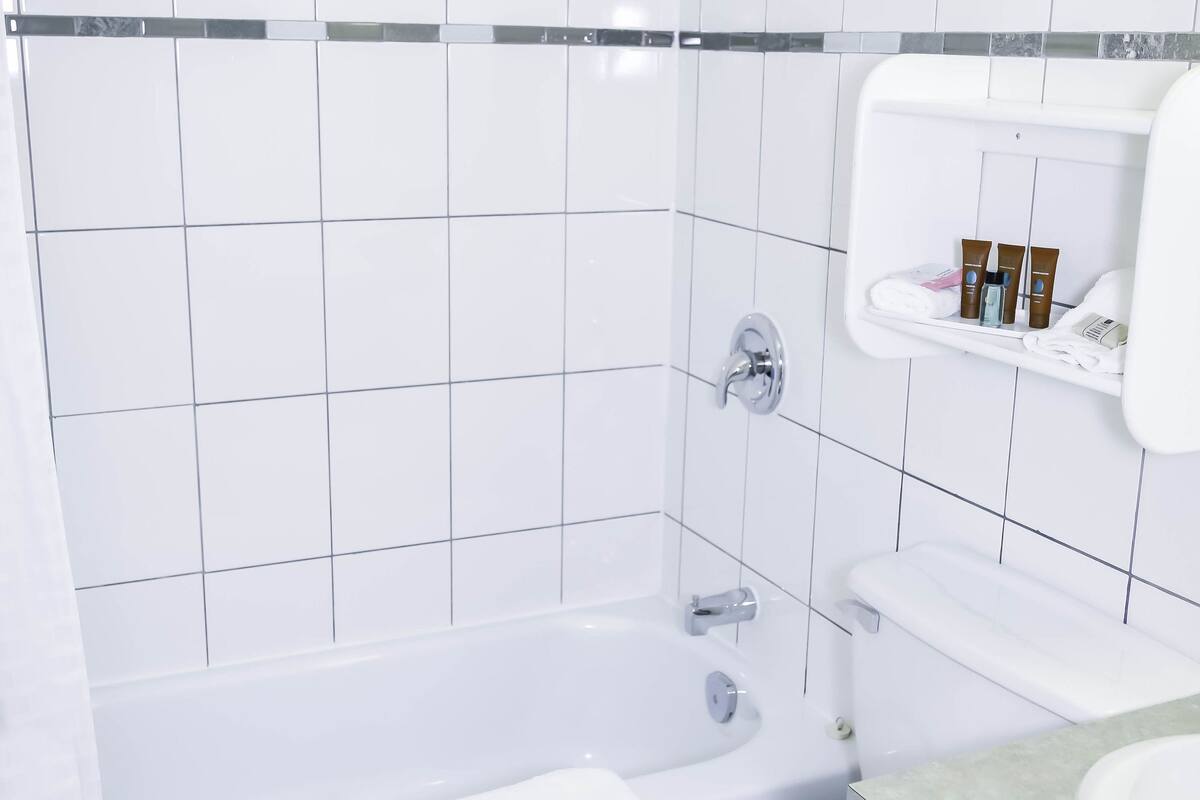 combined shower/bathtub, free toiletries, hair dryer, towels