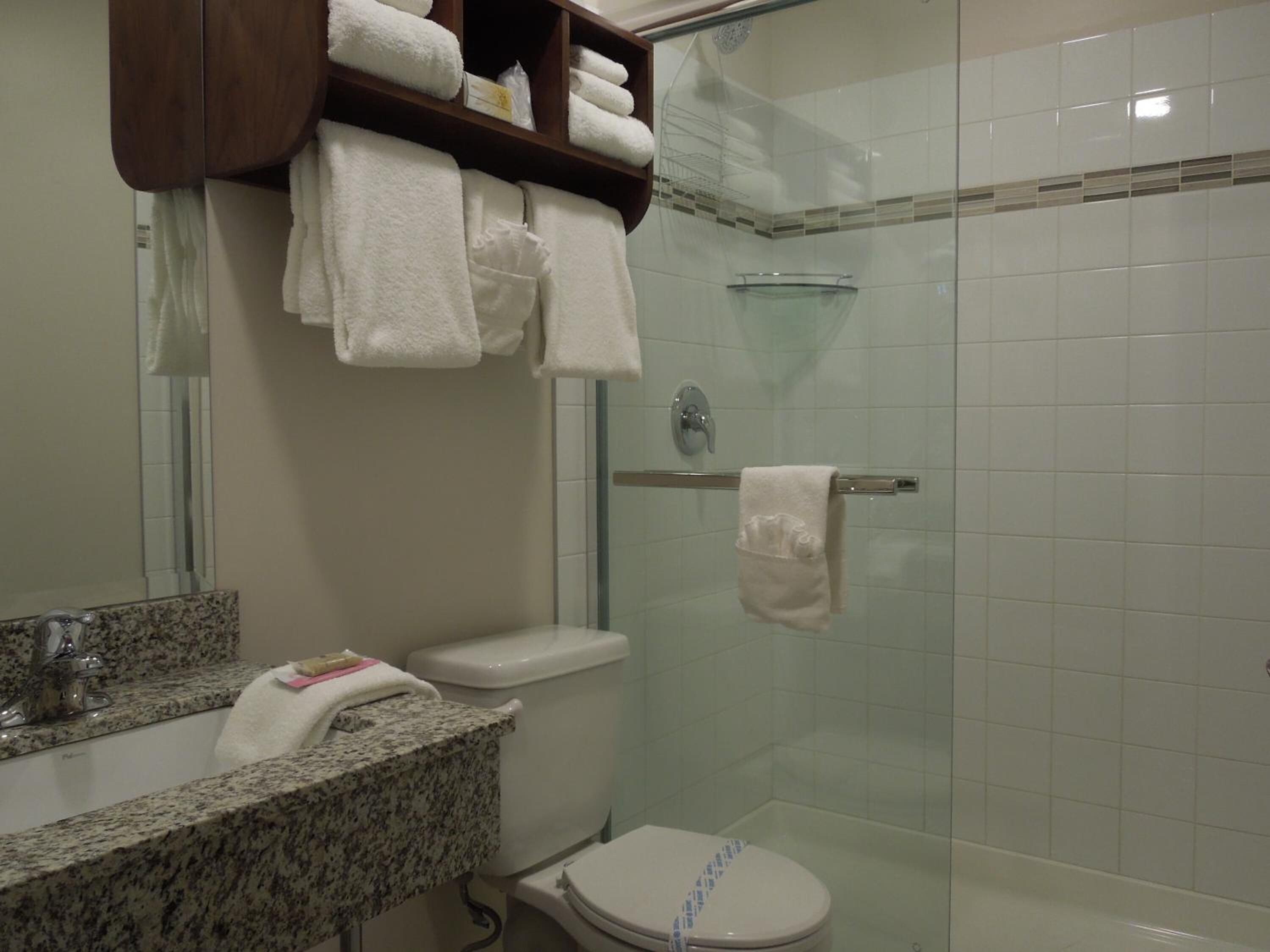 combined shower/bathtub, free toiletries, hair dryer, towels