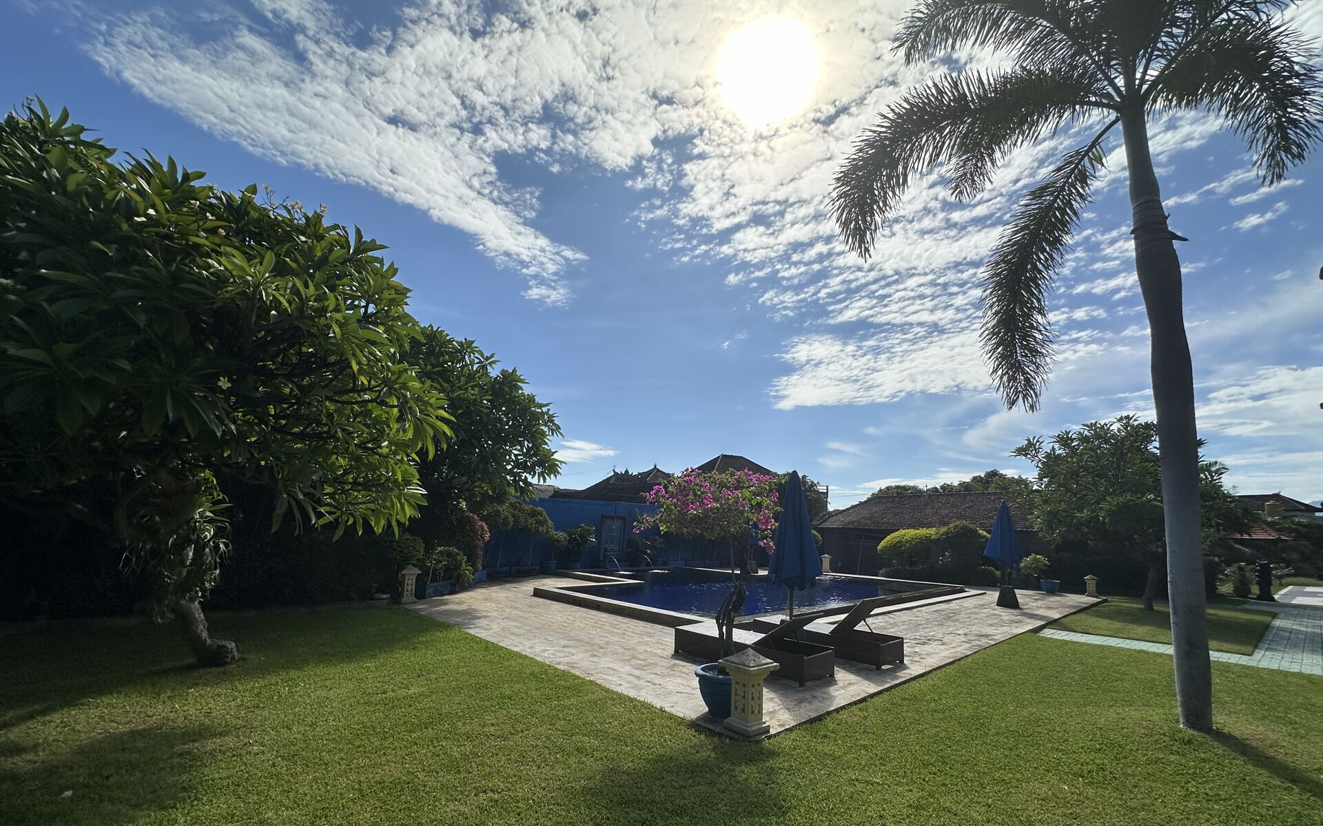 A pool area with a clear sky, palm trees, and a well-maintained lawn.