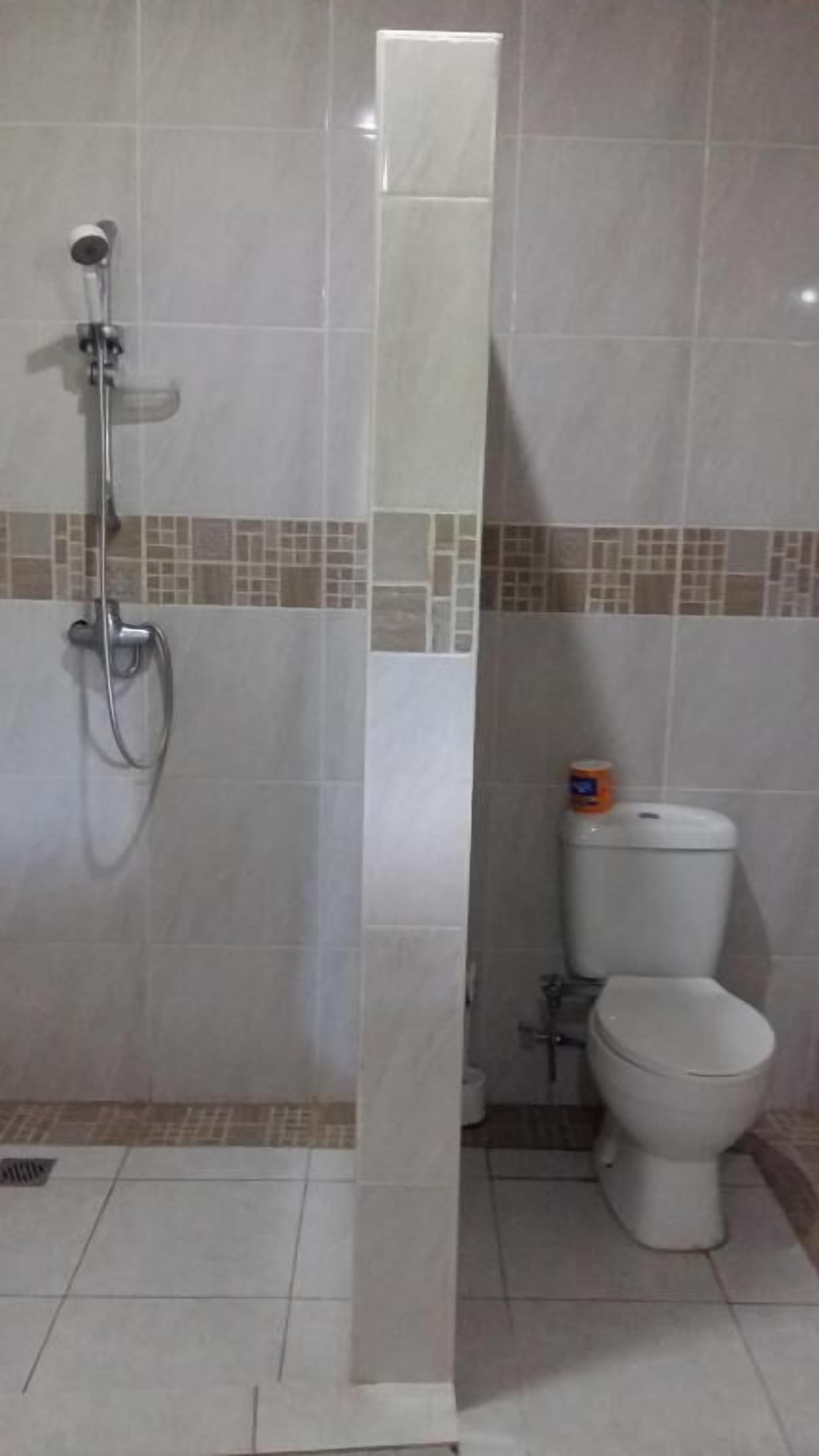 deluxe room | bathroom | shower, towels