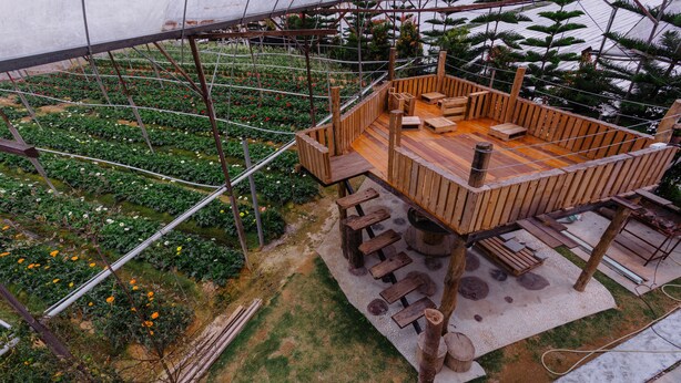 A wooden deck with seating, surrounded by a garden with various plants and flowers. - Westwood Highland - Hostel (Kampung Raja)