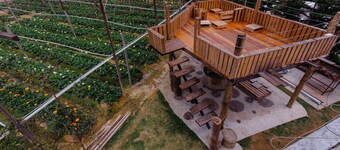 Westwood Highland - Hostel