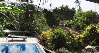 Little Paradise