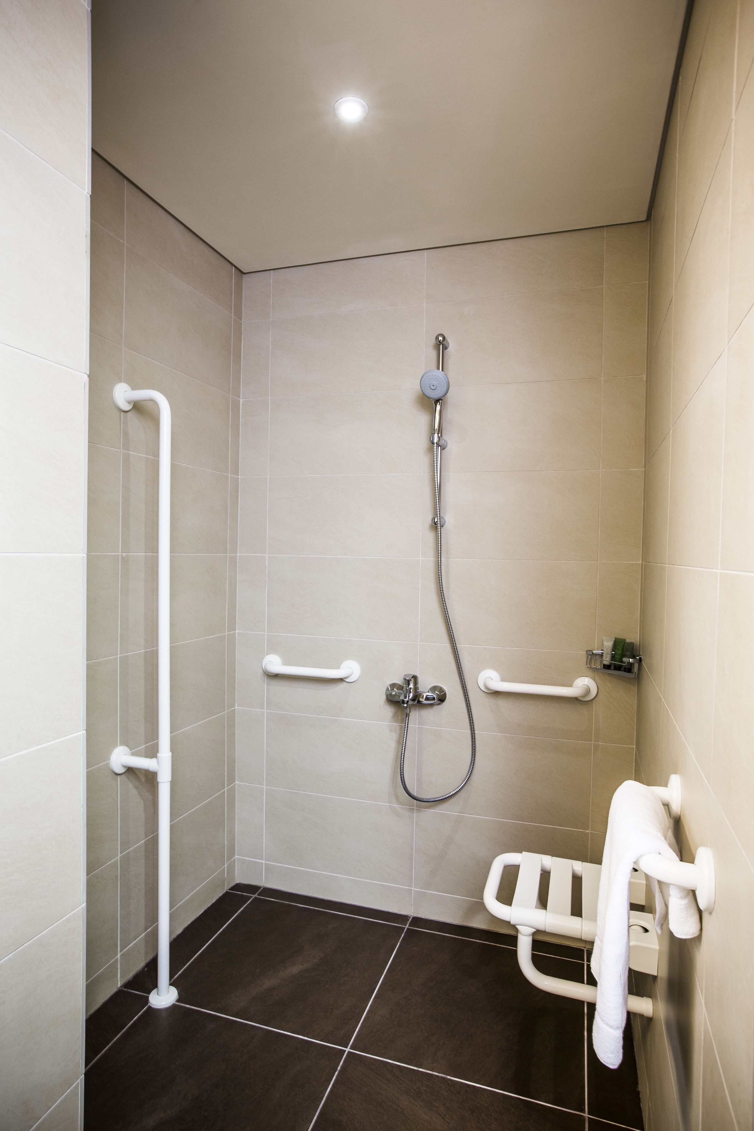A shower area with a handheld showerhead, grab bars, and a towel rack.