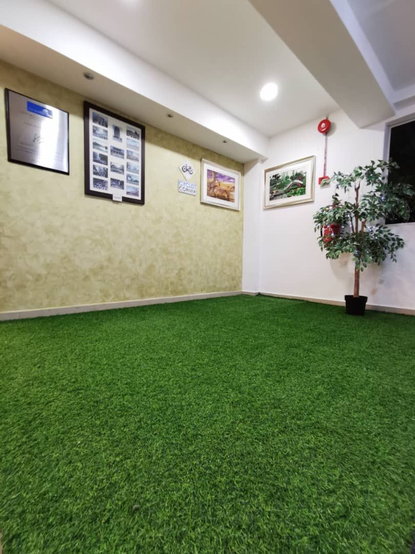 Een kamer met kunstgrasvloer, foto's aan de muur en een potplant.