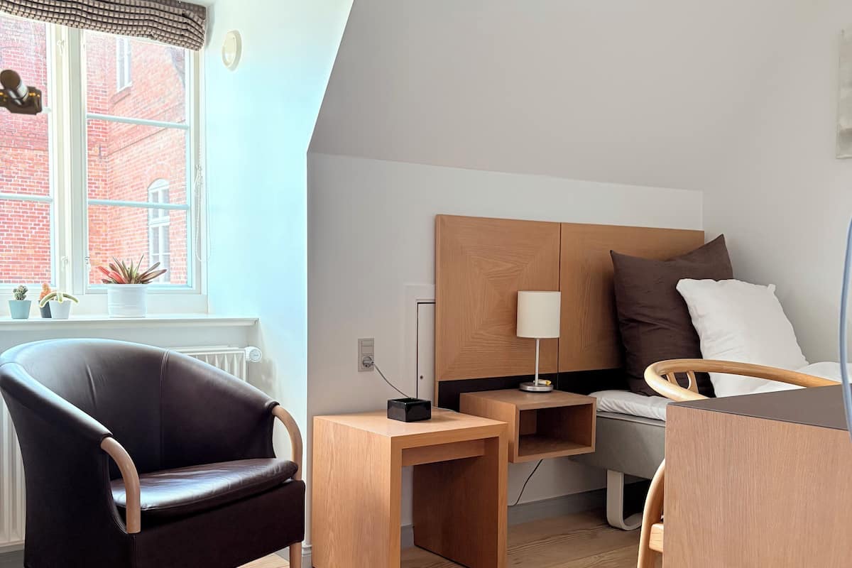 Business eenpersoonskamer, 1 eenpersoonsbed, niet-roken | Gratis wifi, beddengoed