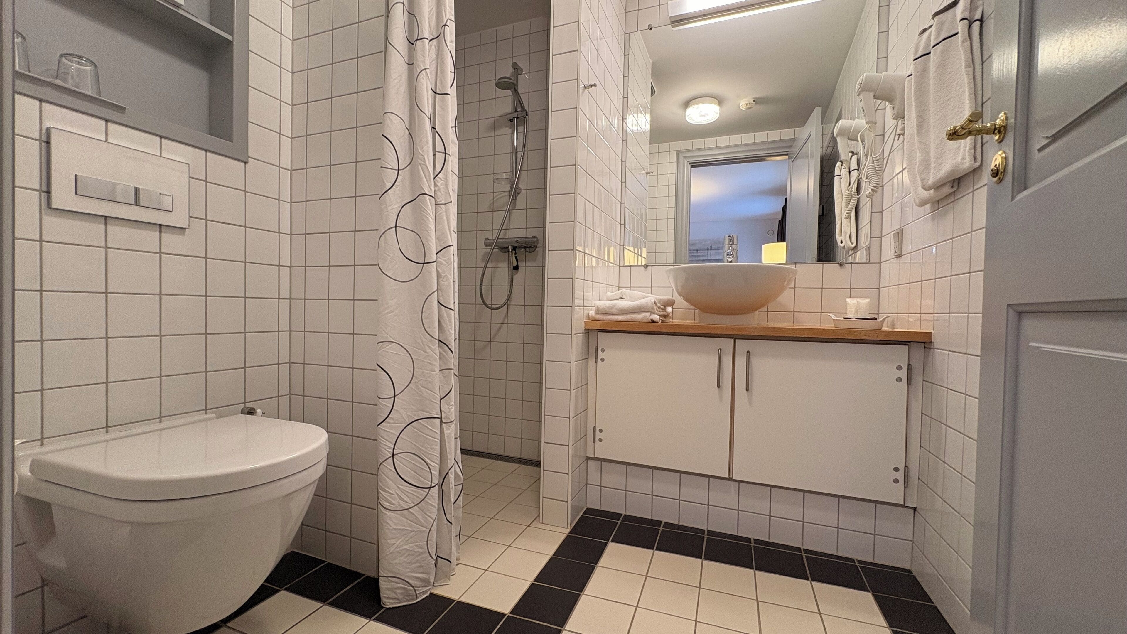 A bathroom with a toilet, a sink with a large bowl, a shower, and a mirror.