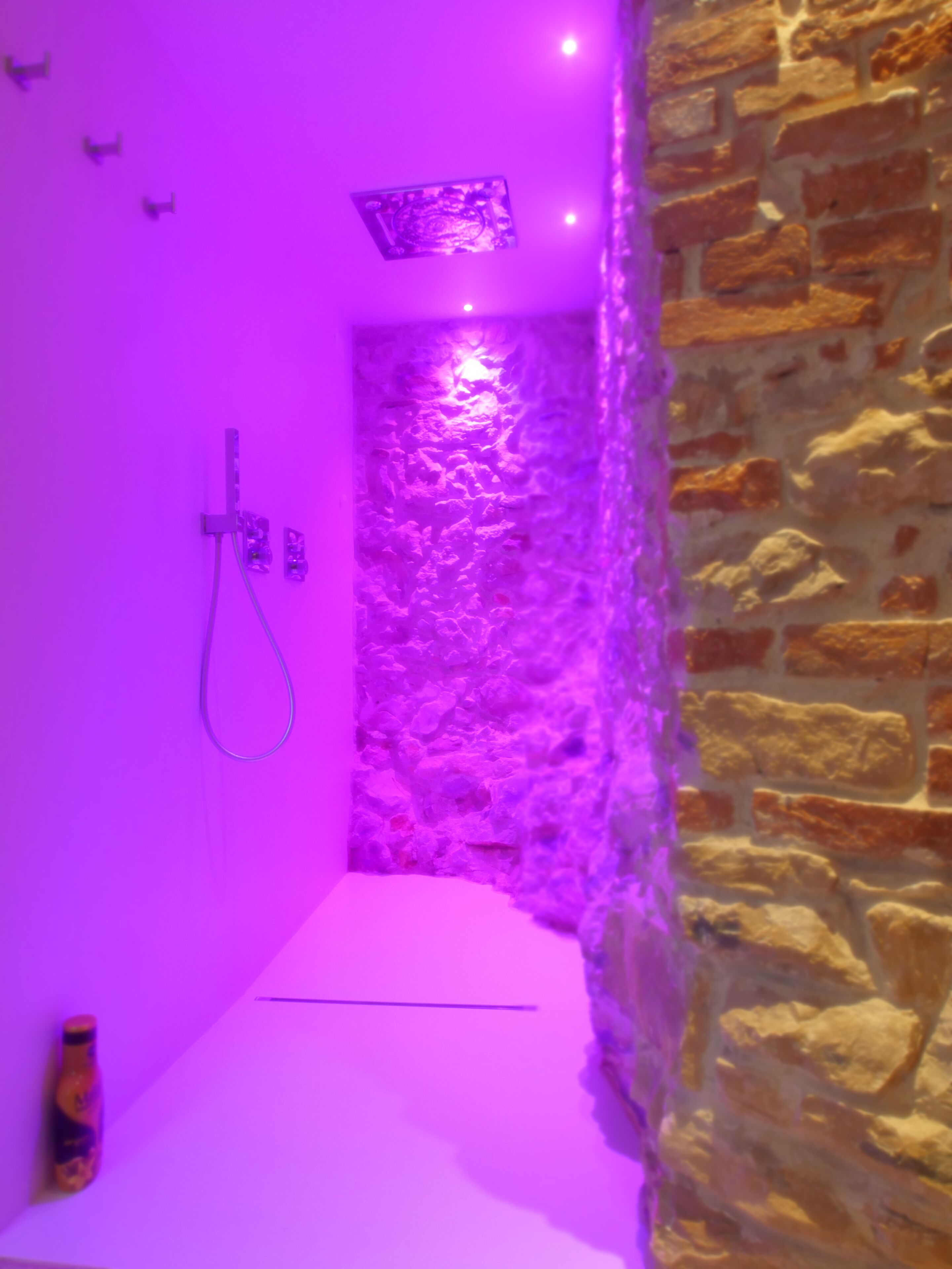 A room with a stone wall, a shower area, and a bed.