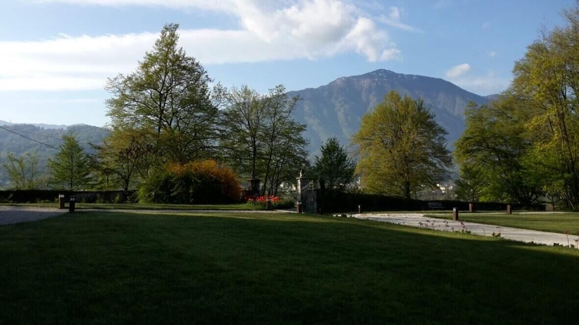 Ein Park mit einer Rasenfläche, Bäumen und einem Berg im Hintergrund.