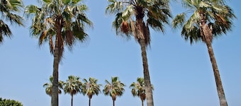 Selinus Beach Club Hotel