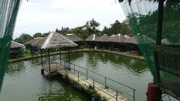 Hồ