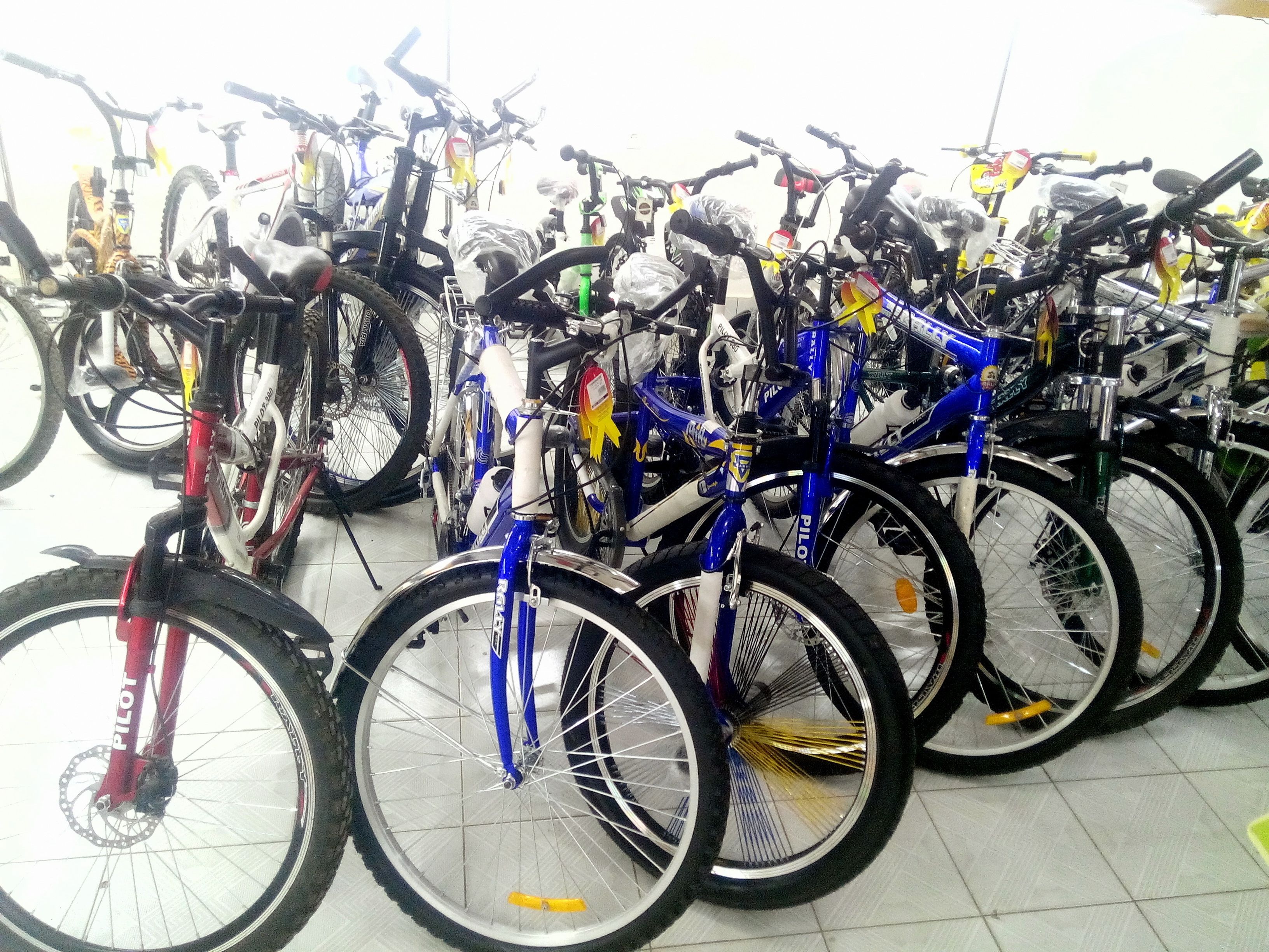 A row of bicycles parked indoors, likely in a showroom or storage area.