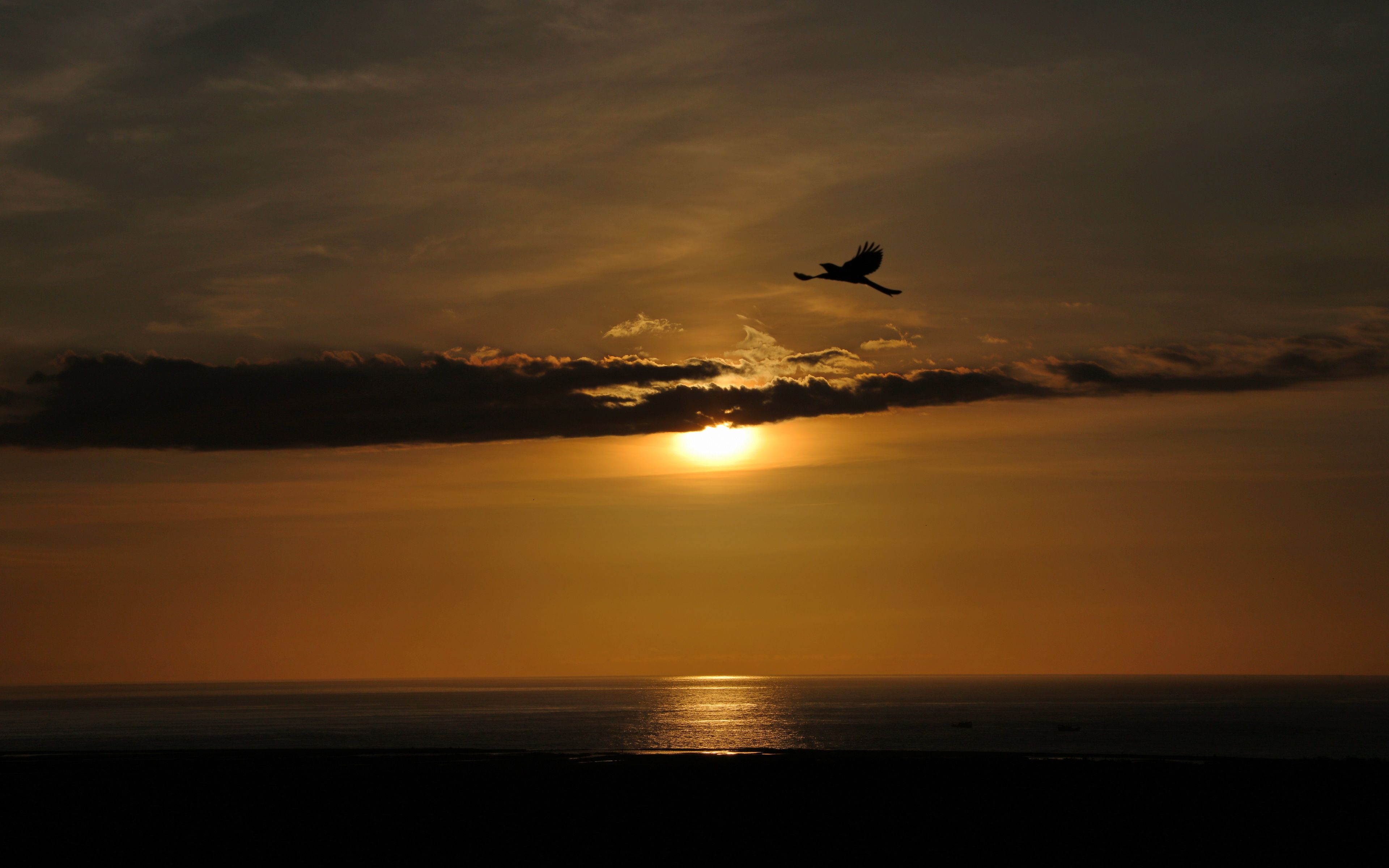 standard twin room | view from property