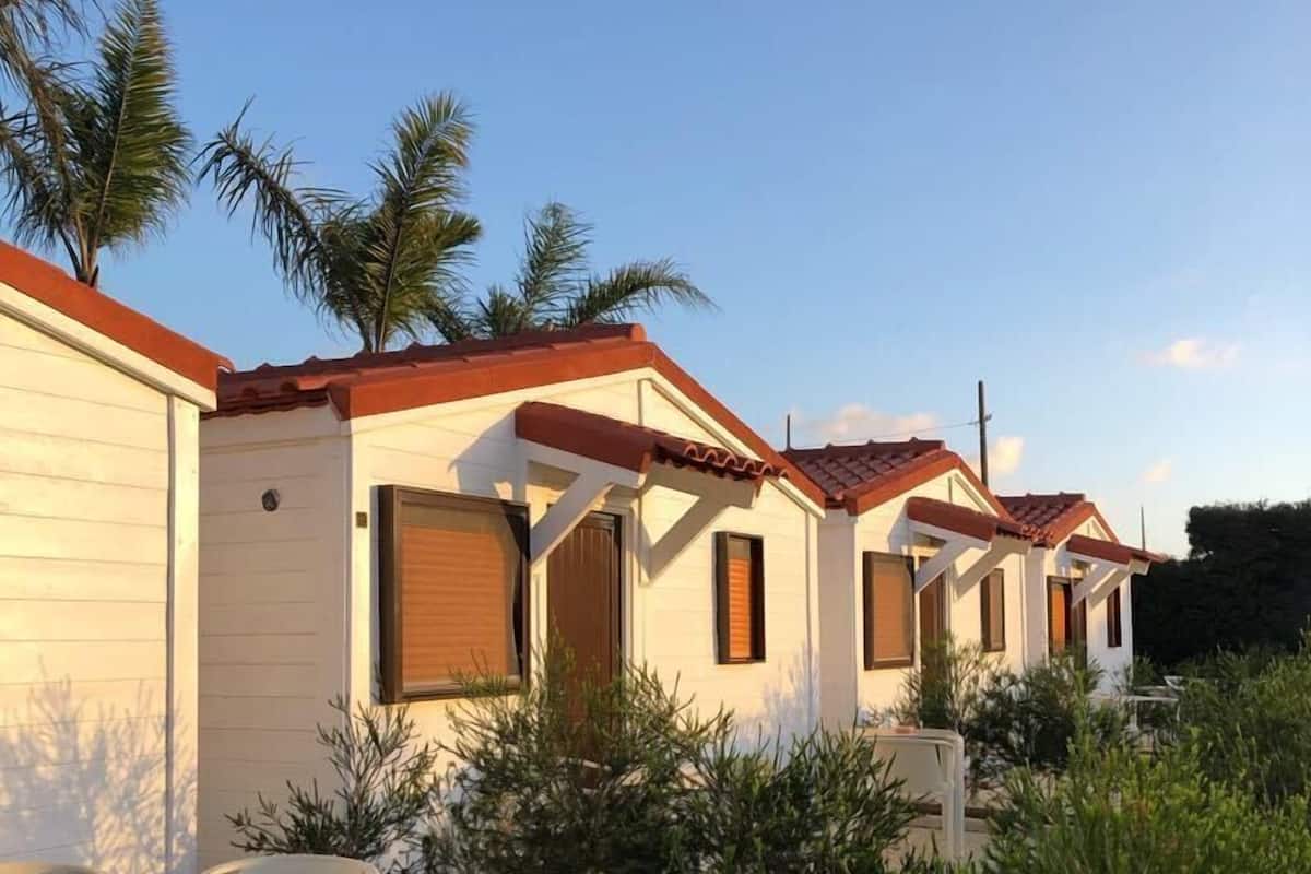 Una hilera de casas móviles blancas con techos marrones, rodeadas de follaje y palmeras.