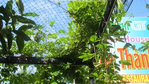 A restaurant sign with a large outdoor seating area visible through a chain-link fence. - Gia Thanh Guest House (Phu Quoc)