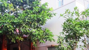 A courtyard with a brick wall, wooden furniture, and green plants. - Gia Thanh Guest House (Phu Quoc)