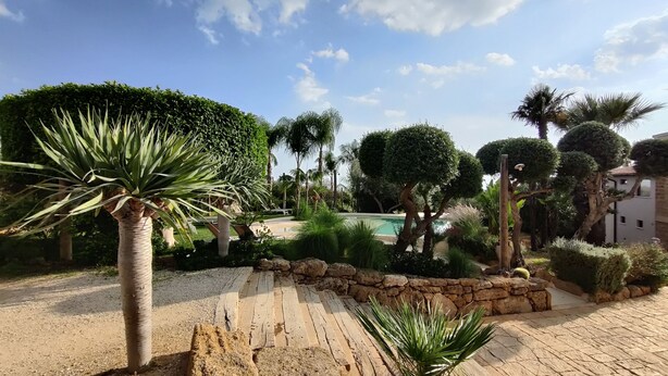Un espacio exterior bien cuidado con un sendero de piedra, setos ordenados y una variedad de árboles, incluidas palmeras.