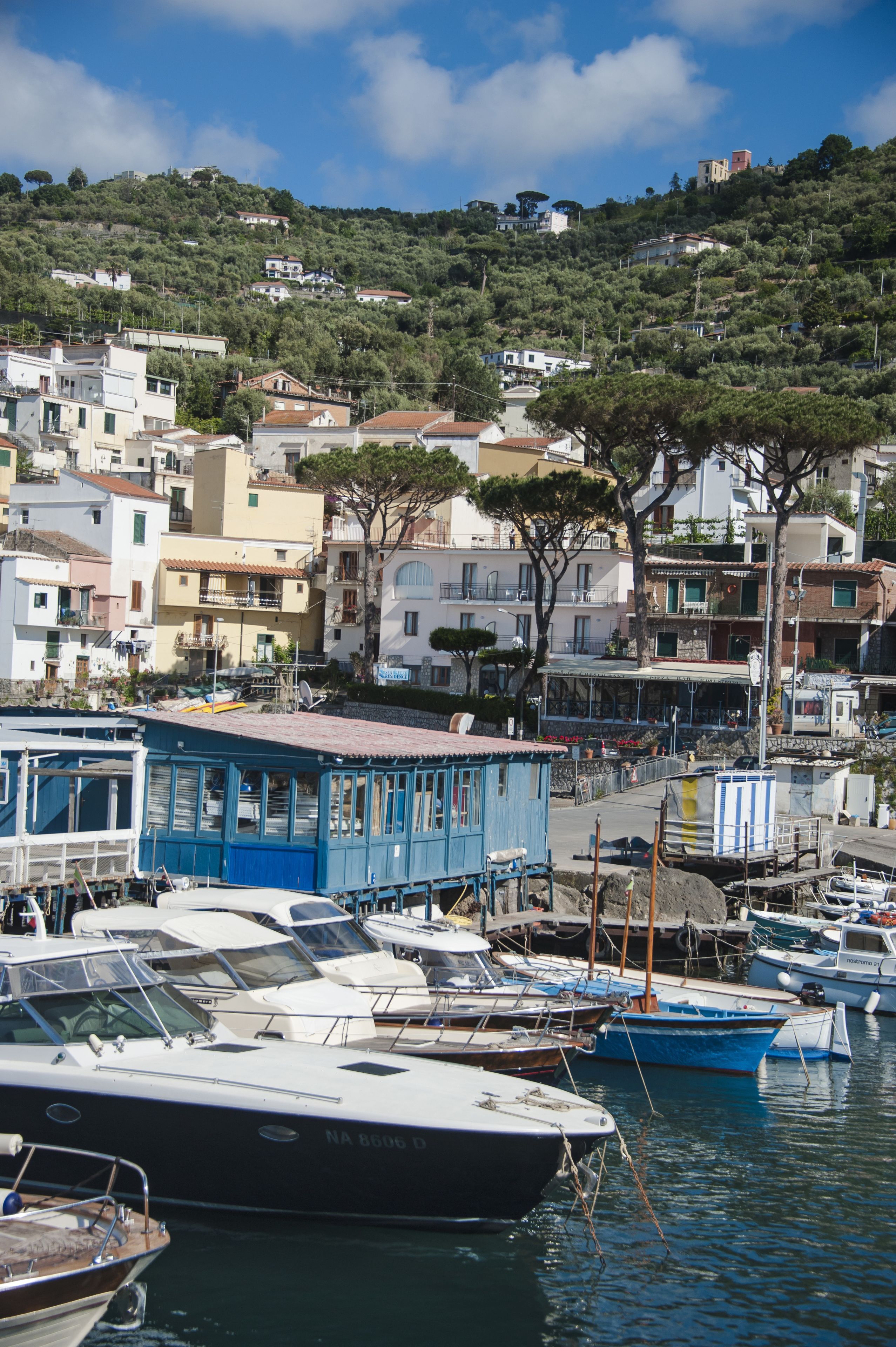 Uma marina com barcos atracados, rodeada por edifícios residenciais numa encosta.