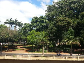A paved road with a median strip and trees, including palm trees. - Aurora Hotel (Ribeirão Preto)