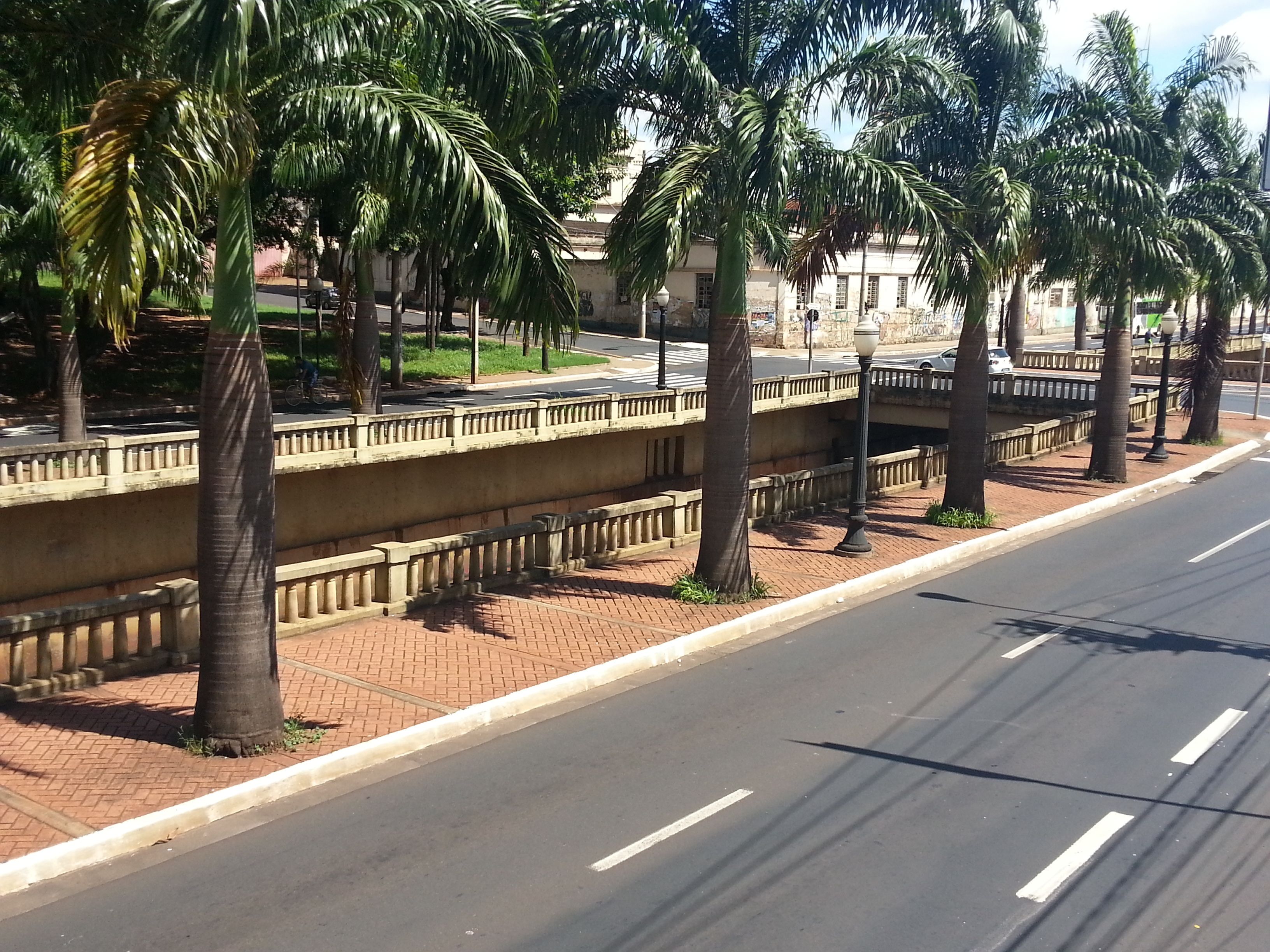A paved road with a sidewalk and palm trees.