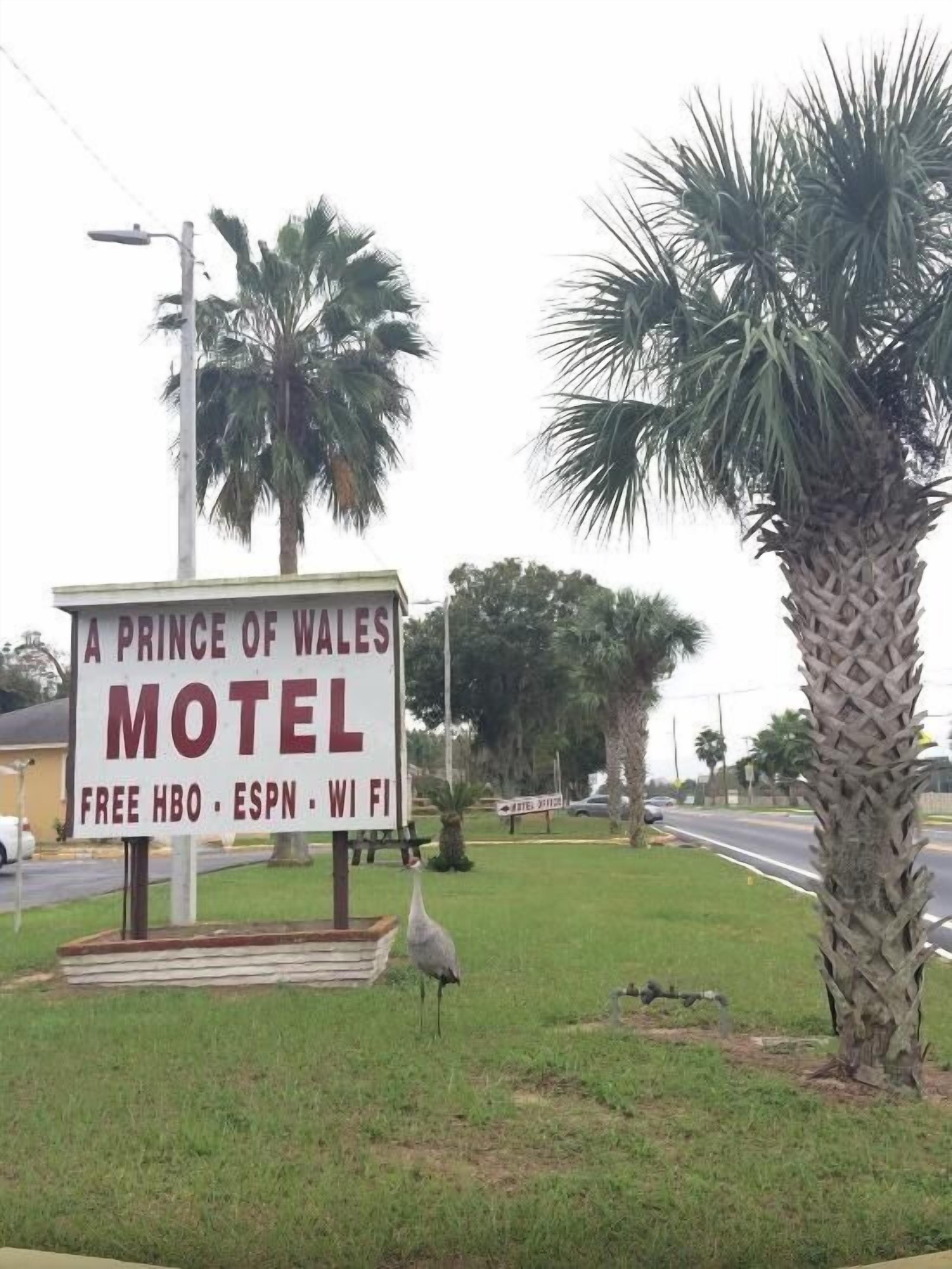 A Prince Of Wales Motel — photo 11