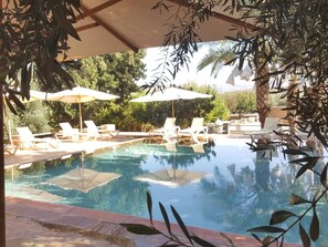 Outdoor pool, pool umbrellas, sun loungers