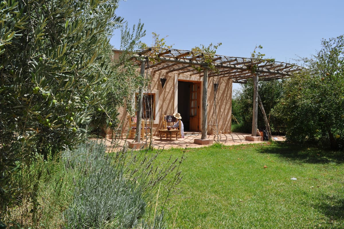 A rustic outdoor seating area with a pergola, surrounded by olive trees and lavender.
