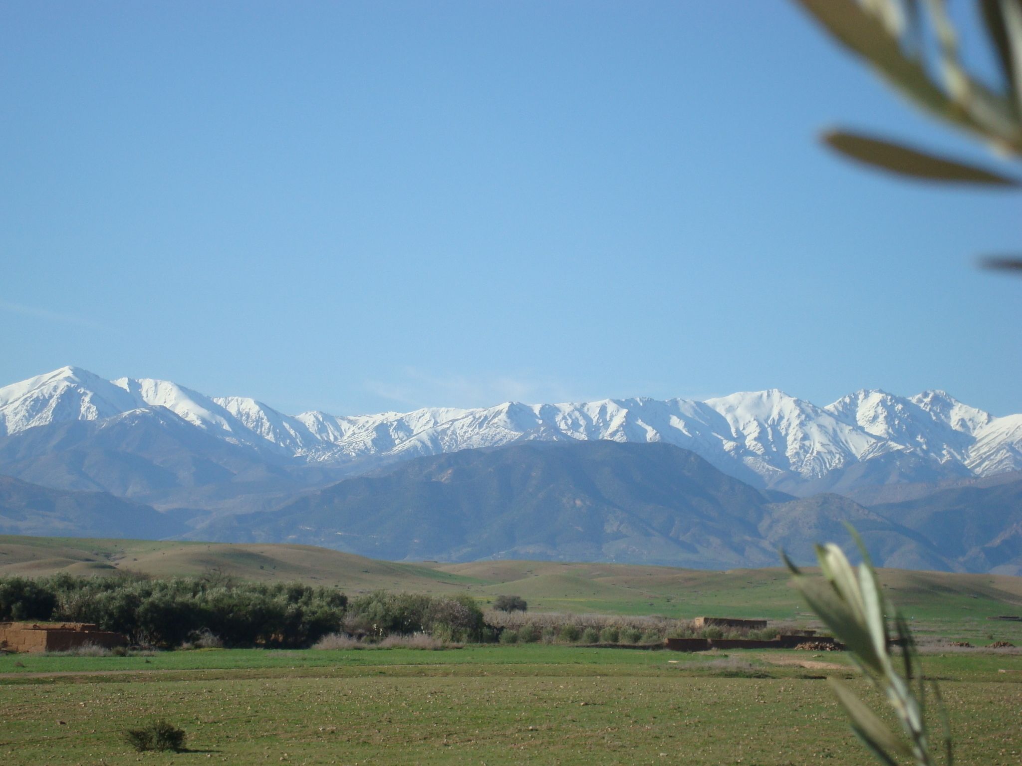 Foto - Jnane Tihihit