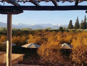 Property grounds - Jnane Tihihit (Sidi Badhaj)