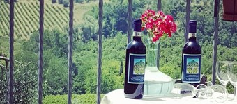 Agriturismo Torraiolo