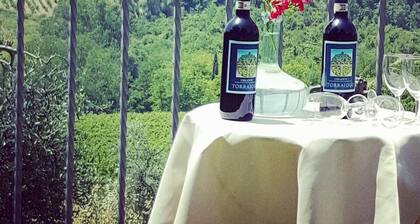 Agriturismo Torraiolo