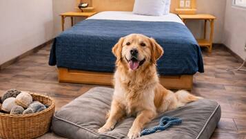 Chambre Exécutive | Animaux de compagnie acceptés