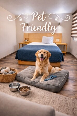 Habitació executiva | Animals admesos