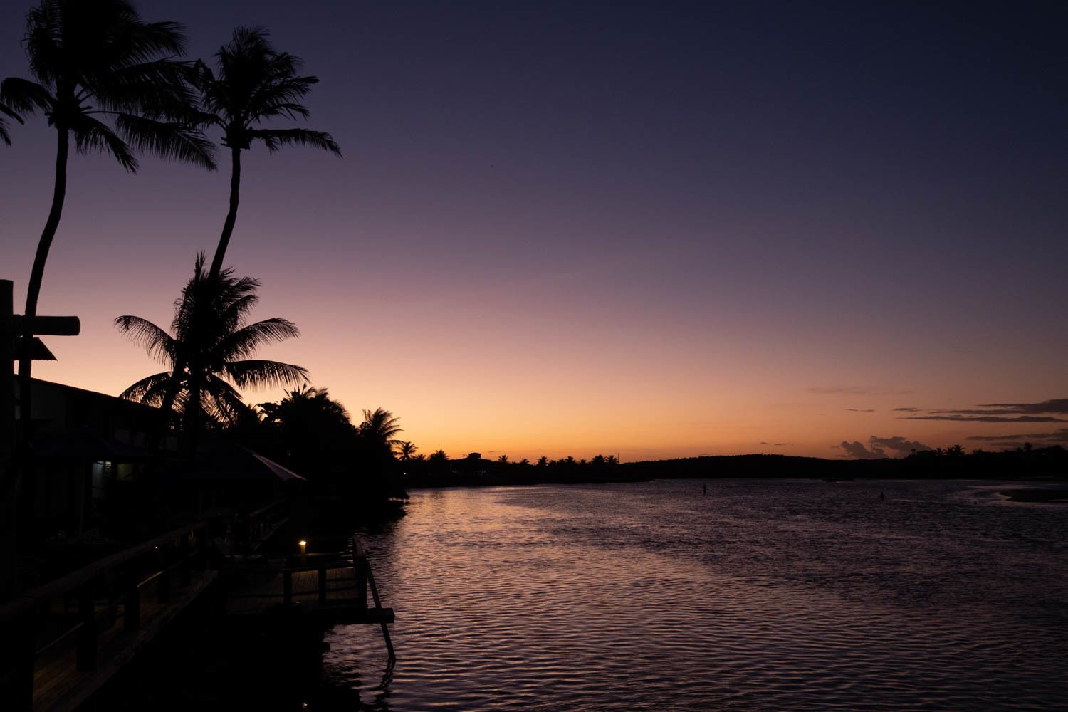 Vista del atardecer con palmeras y un cuerpo de agua tranquilo.