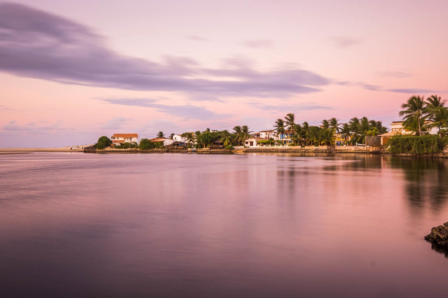 A coastal scene with houses and palm trees along the shore.