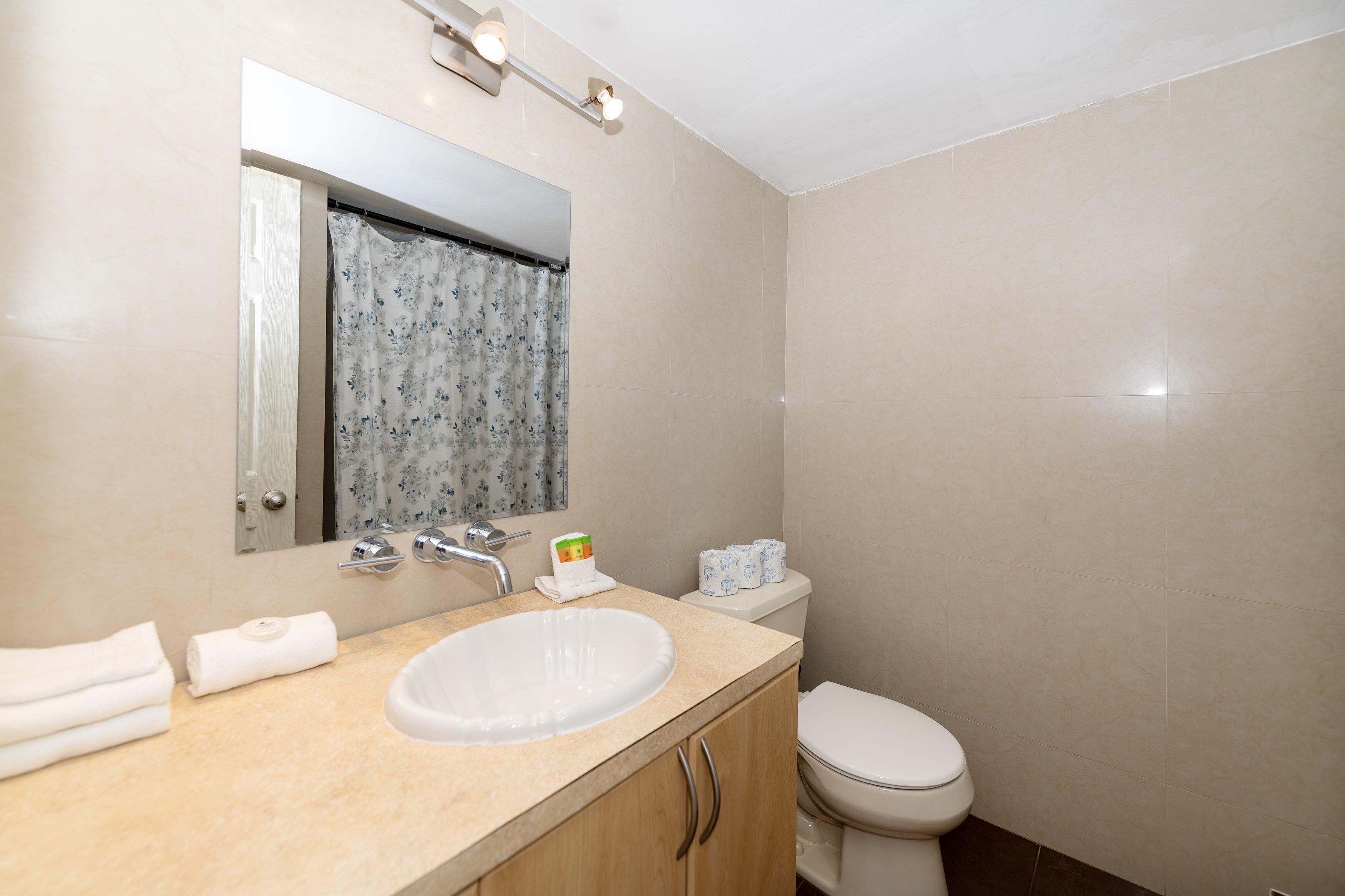 Un bagno con lavandino, specchio, WC e tenda per la doccia.
