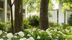 A garden with white flowers and trees in front of a building with balconies. - Griffin Hotel, an official Colonial Williamsburg Hotel (Williamsburg)