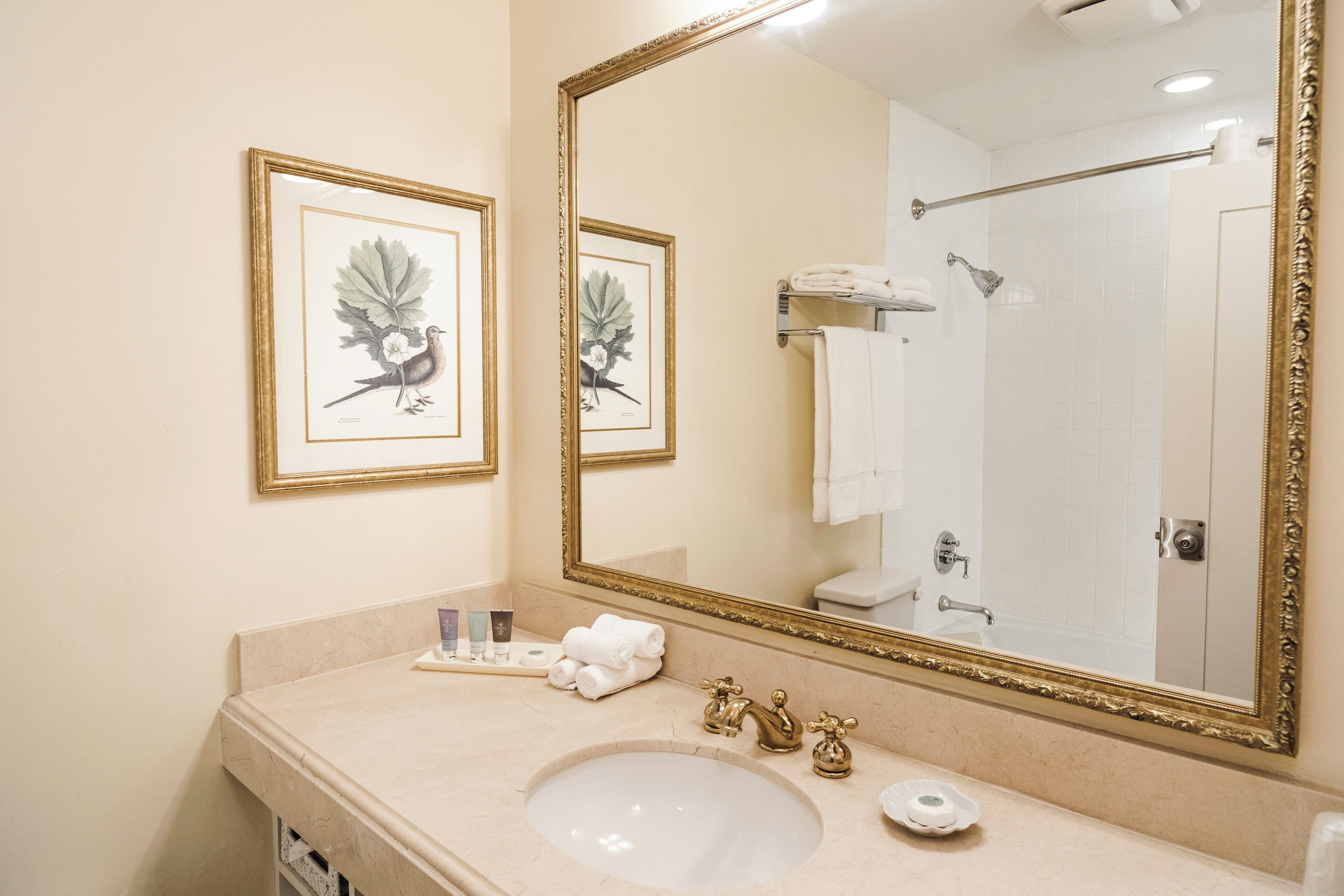 combined shower/bathtub, designer toiletries, hair dryer, towels