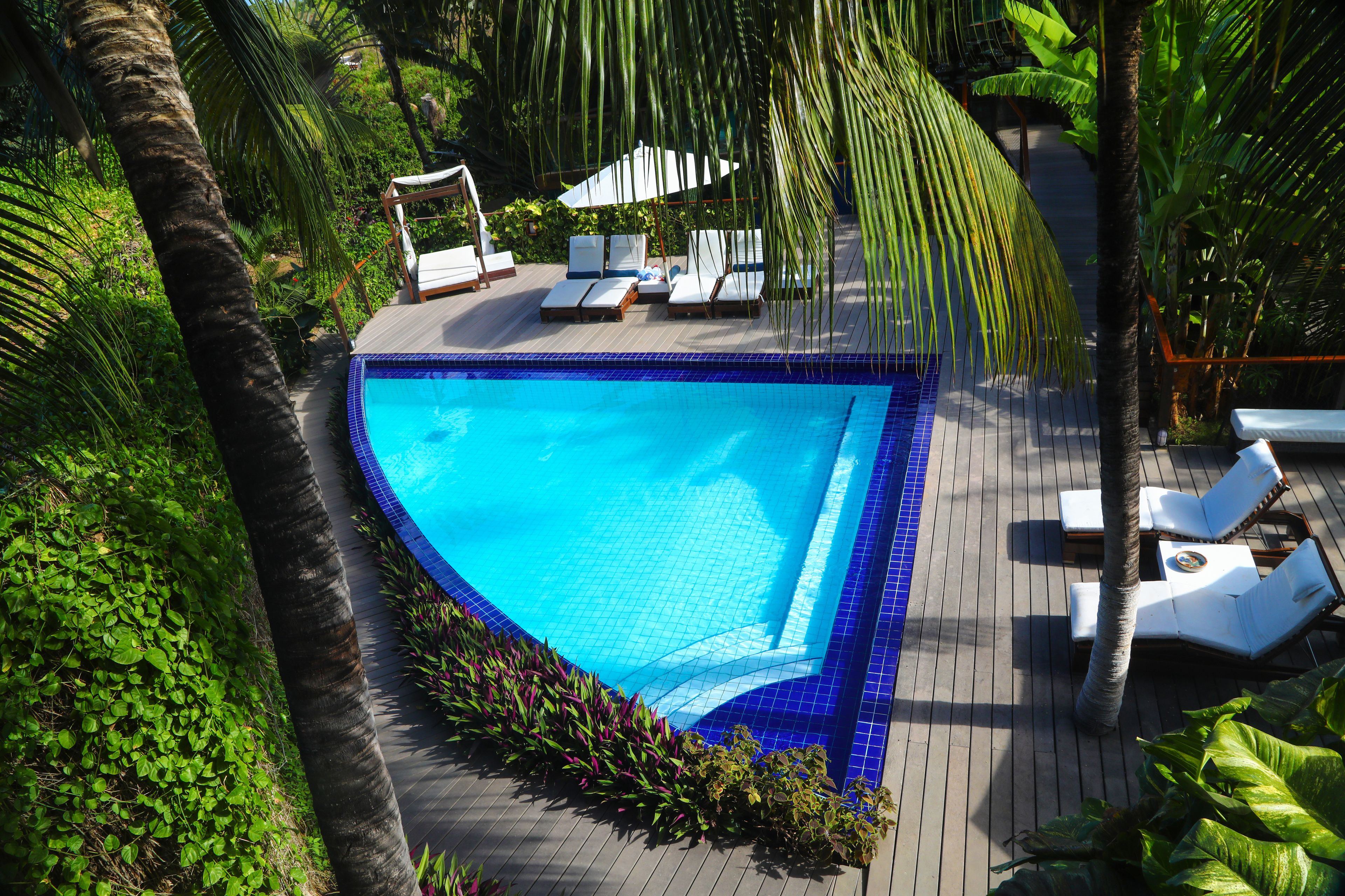 A swimming pool with lounge chairs and umbrellas, surrounded by lush greenery.
