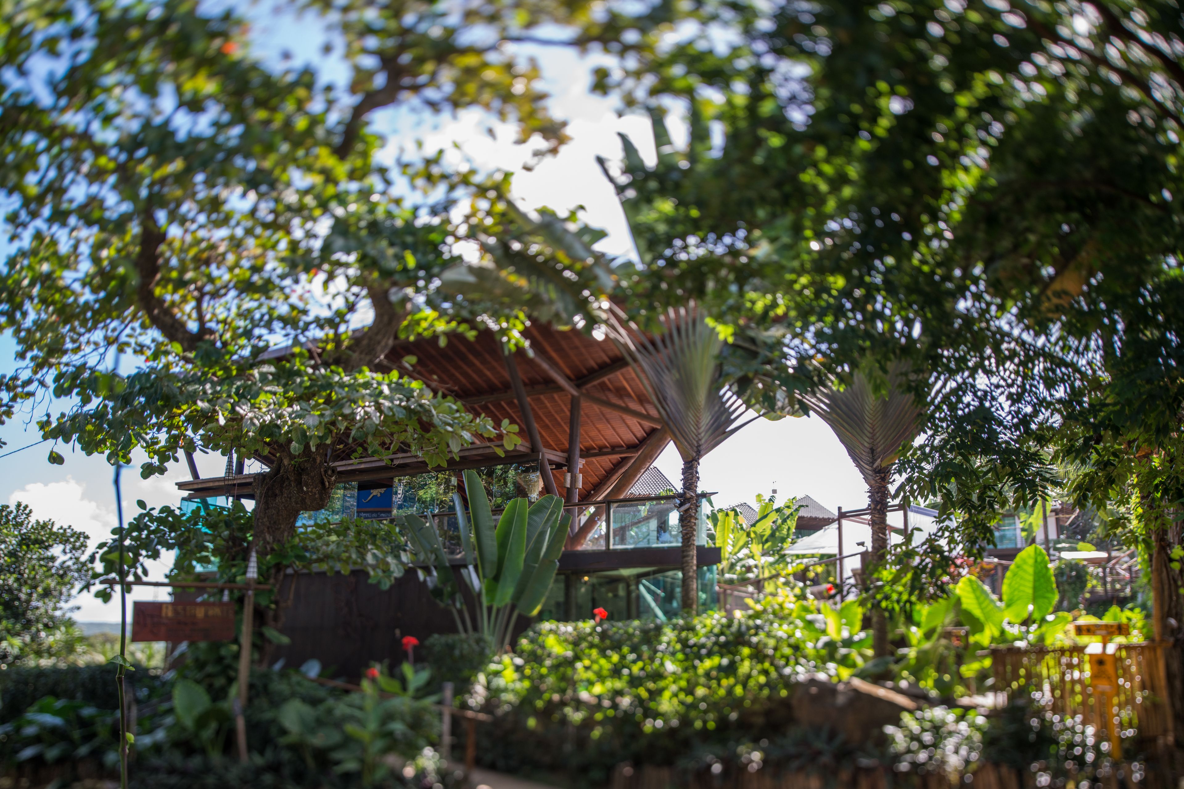 Um edifício moderno com telhado de madeira, cercado por vegetação e plantas exuberantes.