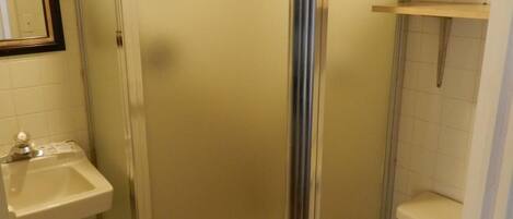 A bathroom with a glass-enclosed shower, a sink, and a toilet.