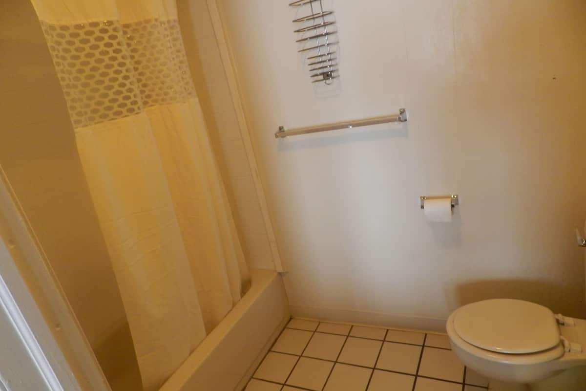 Un baño pequeño con inodoro, cortina de ducha, toallero y dispensador de papel higiénico.